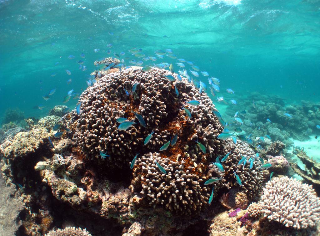 Ningaloo Coral Bay – Bayview Hotell Exteriör bild